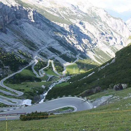 Genziana 3* Passo Stelvio