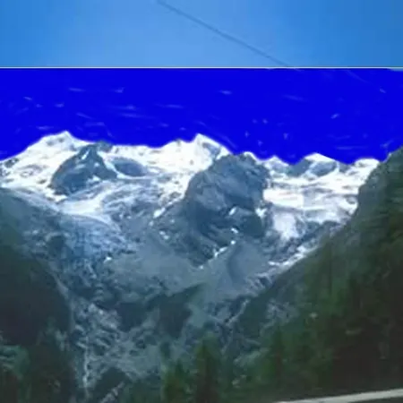 Genziana Passo Stelvio