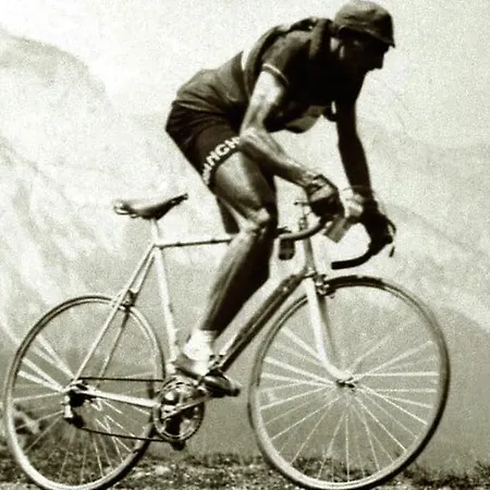 Genziana 3* Passo Stelvio